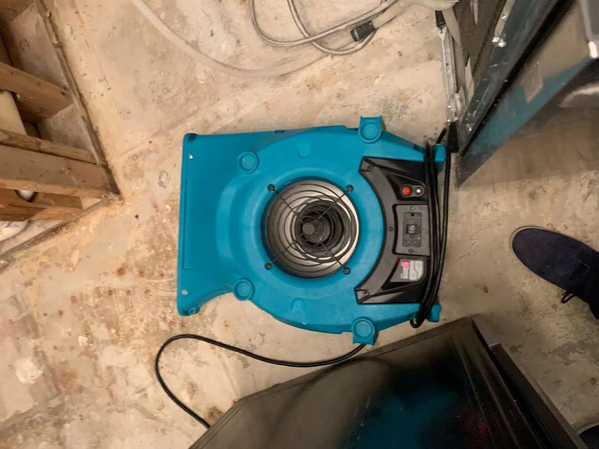 Air mover drying equipment for Mold Remediation & Removal in Garrett